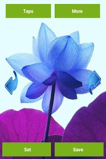 Download Lotus Flower Wallpapers APK for PC