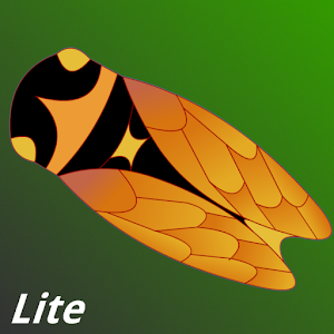 Music Companion Lite.apk Version