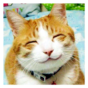 صور مضحكه.apk 1.0