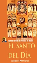 El Santo del Día en Audio APK Download for Android