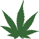 NORML icon