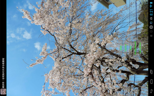 免費下載旅遊APP|Japan:Large CherryTree in town app開箱文|APP開箱王