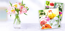 Flower Collage - Photo Editor APK