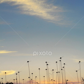 sesaat di kala sore hari itu ....... by Erich Delapan - Landscapes Sunsets & Sunrises