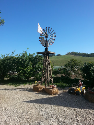 Petersen Ranch Windmill