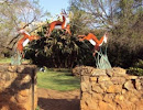 Springbok Park Entrance