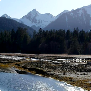 Mountain River Live Wallpaper.apk 3.0