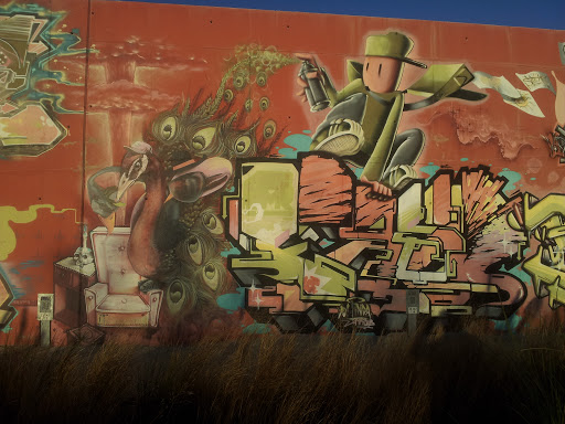 Graffitero y Pavo Real