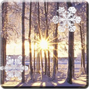 Winter Live Wallpaper logo