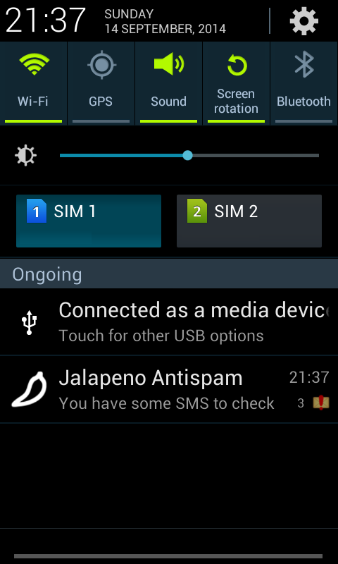 Jalapeno Antispam Pro Screen 2