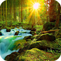 3D Green Forest logo