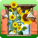 Flower Photo Frames