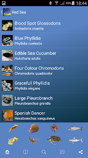 Pocket Guide Red Sea Screenshots 5