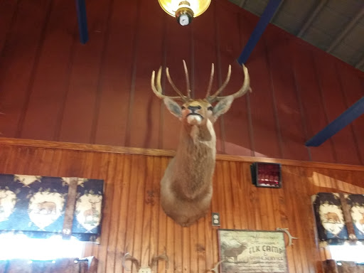 Elk Head Bill