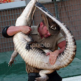Man with crocodile by Oscar Salinas -  