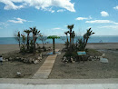 Oasis de la Playa