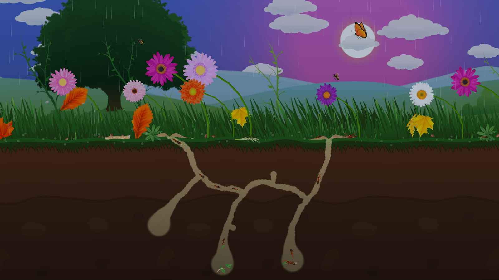 Ant Farm Android Apps on Google Play