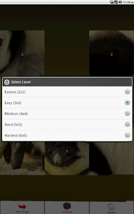 Penguin Puzzle Screenshots 2