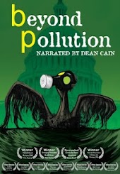Beyond Pollution