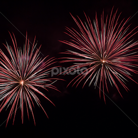 Double Beuaty by Stacey Atkinson - Abstract Fire & Fireworks