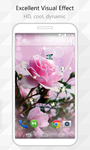 Chinese Rose Live Wallpaper