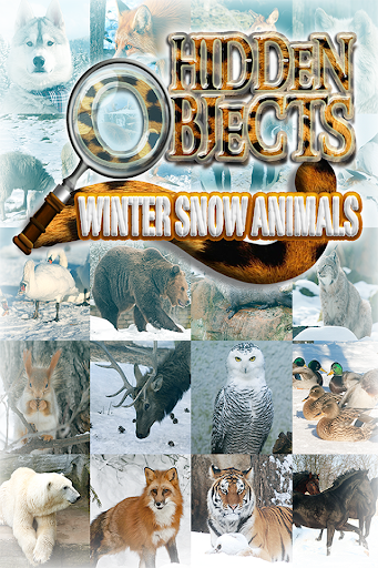 Hidden Object Winter Animals