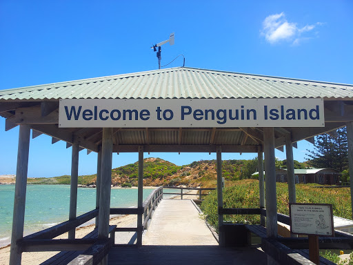 Welcome to Penguin Island
