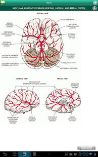 Taber's Medical Dictionary 22 Screenshots 9