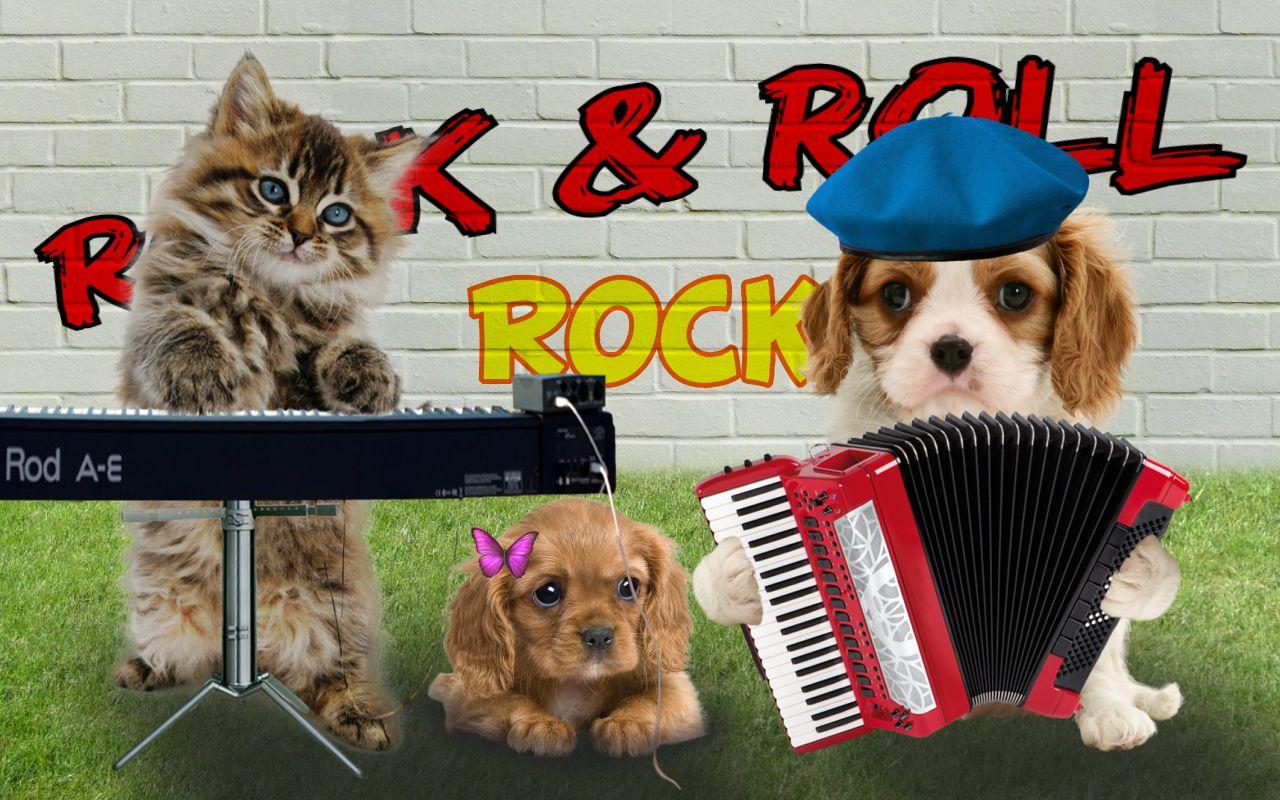 Berbicara Kucing Dan Anjing Apl Android Di Google Play