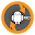 Droid Backup Pro Download on Windows