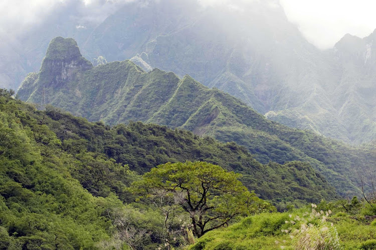 The lush mountains of Mo'orea.