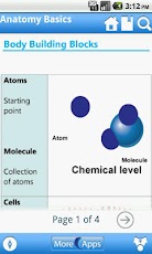 Human Body Anatomy (Preview)