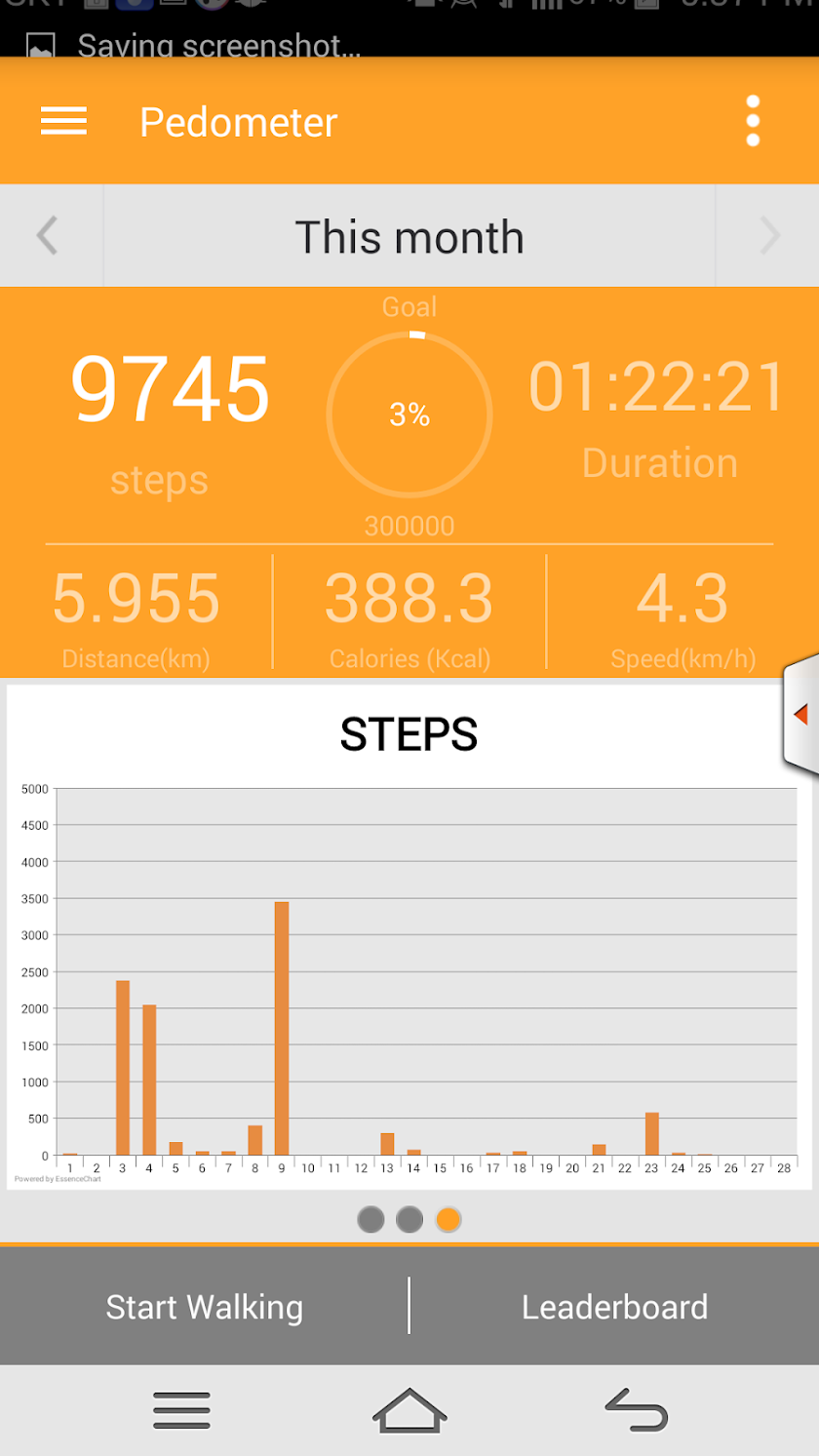Pedometer Pro Screen 3