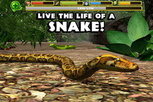 Snake Simulator