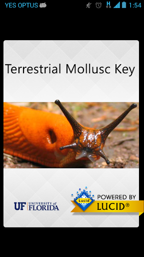 Terrestrial Mollusc Key