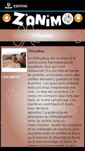 Zanimo Tunisie Screenshots 6