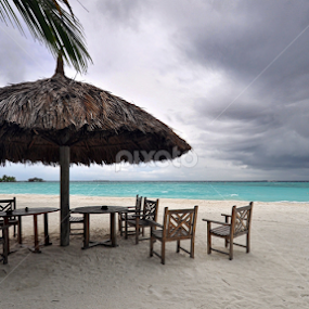 by Adriana Bleau - Uncategorized All Uncategorized