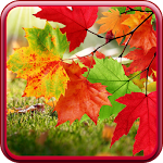 Cover Image of Download Autumn Live Wallpaper 1.0.2 APK