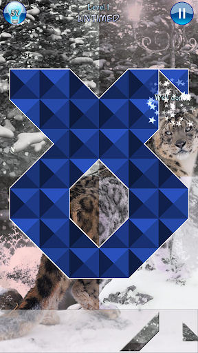 【免費解謎App】Hidden Pieces: Animal Seasons-APP點子