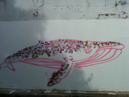 Pink Whale Artwork