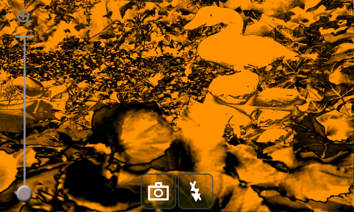How to download Disco Camera 1.12 apk for pc