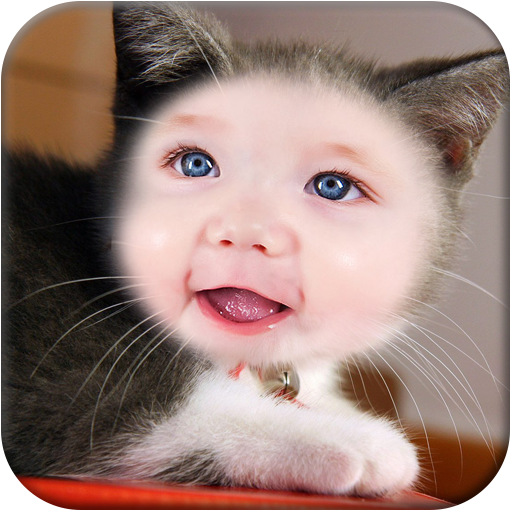 Cat Funny Photo Frame LOGO-APP點子