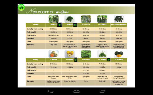 Lion Seeds Screenshots 3