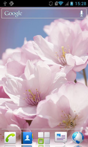 Sakura HD Live wallpaper