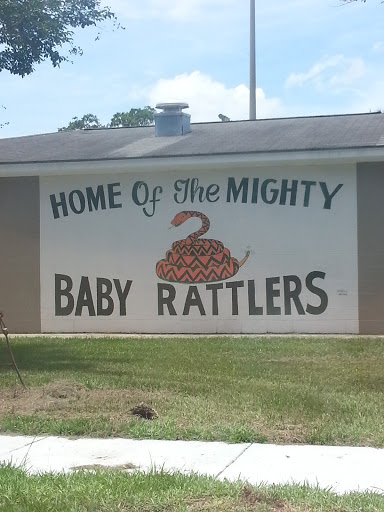 Might Baby Rattlers Home