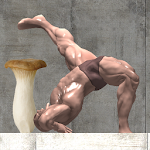 Superhard Mushrooms and Muscle Apk