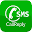 CallReply Download on Windows