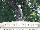 Puma San Jacinto