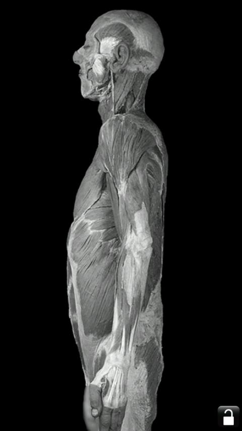 AnatomyLab Screen 3