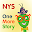 NYS Library Player Download on Windows
